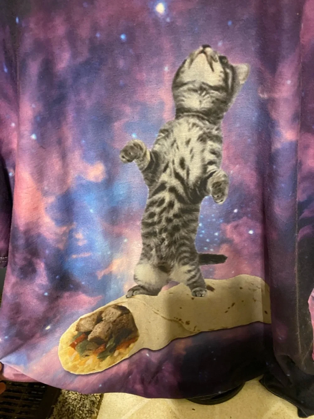 Purple Galaxy Burrito Cat Print Tee